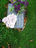 image of grave number 395382